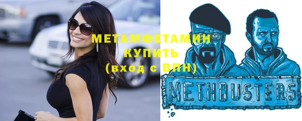 шишки Белоозёрский