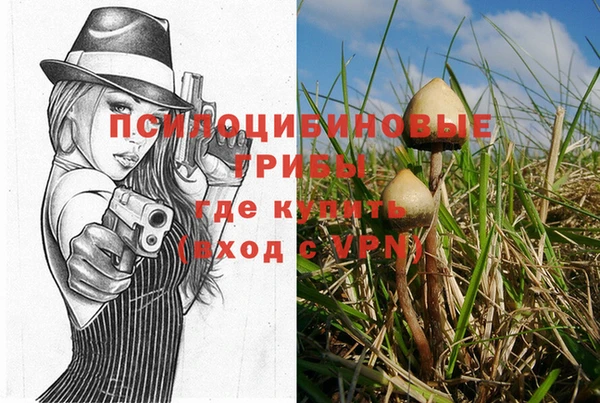 шишки Белоозёрский