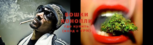 шишки Белоозёрский