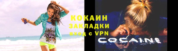 шишки Белоозёрский
