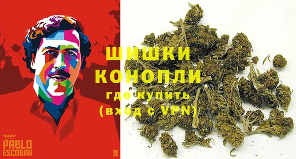 шишки Белоозёрский