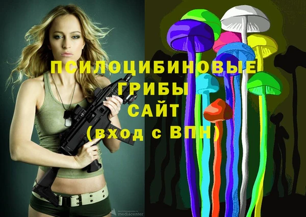шишки Белоозёрский