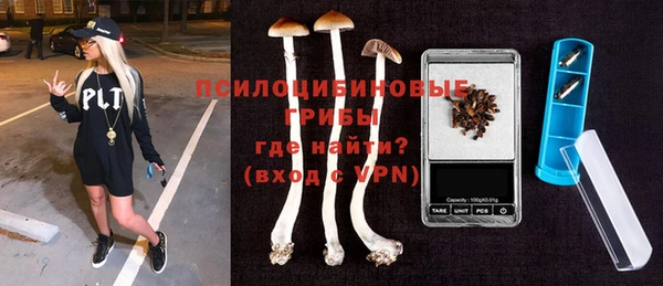 молекула духа Белокуриха