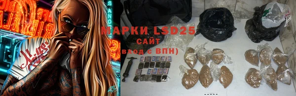 шишки Белоозёрский